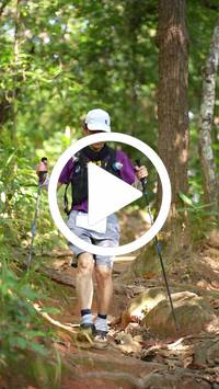 BIB:  <button type="button" onclick="openModal(27609155)" class="btn btn-primary btn-sm float-right" data-toggle="modal" data-target=".modal-high-quality">
                <i class="fa fa-download"></i> Download
                </button>